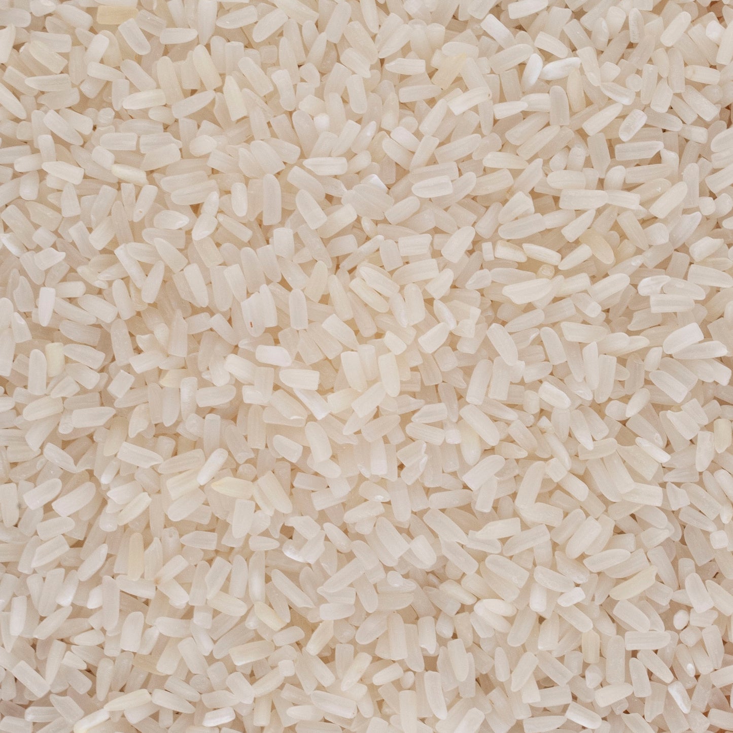 a close up of a plate of food with rice