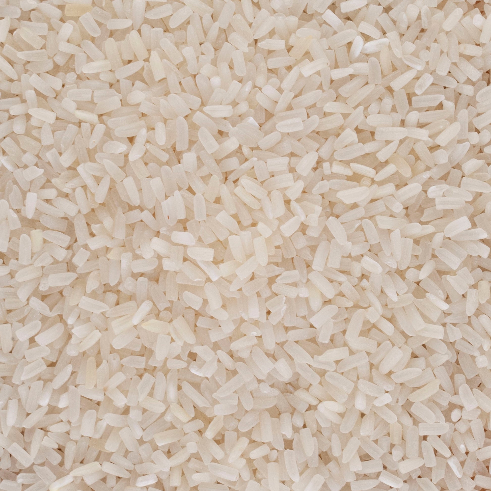 a close up of a plate of food with rice