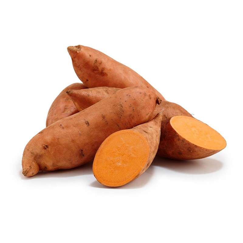 PATATE DOUCE EGYPTE