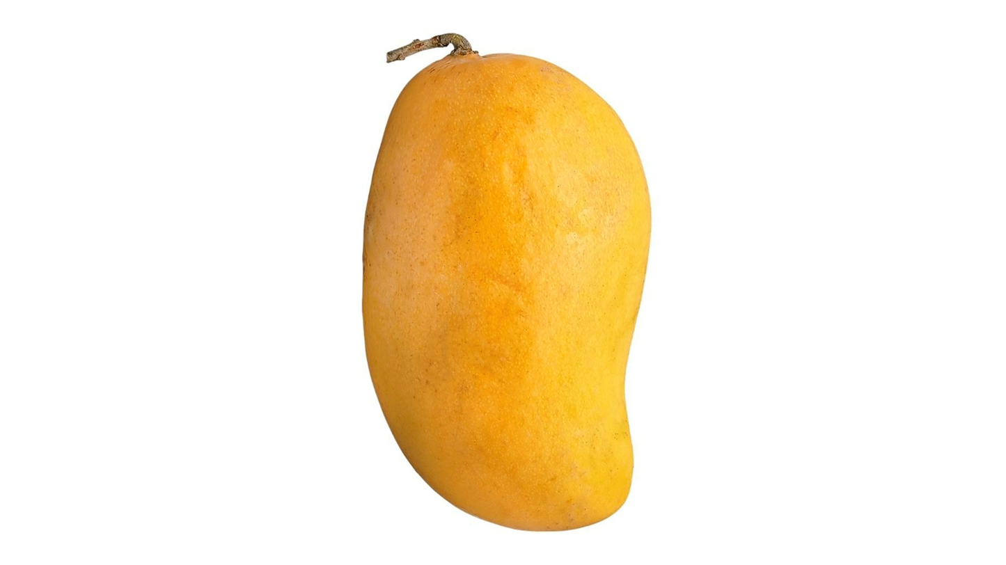 MANGUE REPUBLIQUE DOMINICAINE