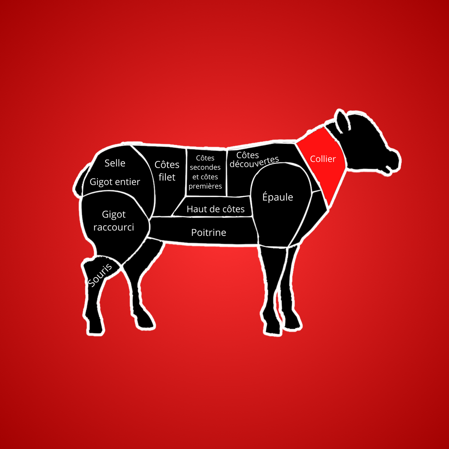 COLLIER D'AGNEAU 1KG AVS