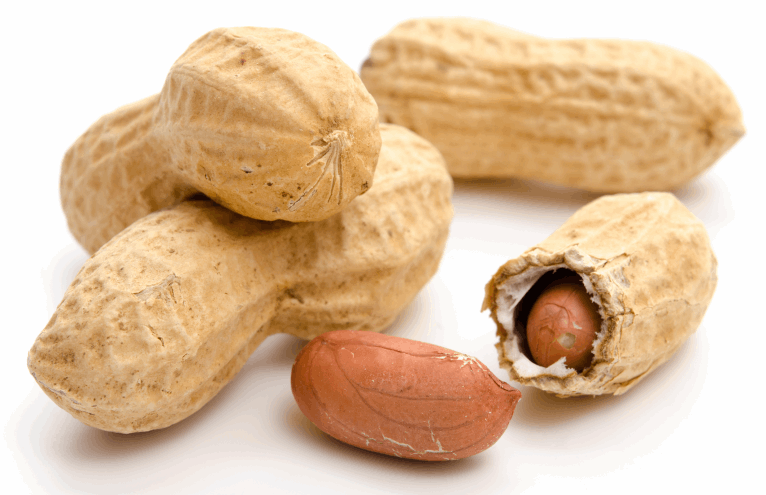 Les arachides fraîches en coque, disponibles en différents poids (1 kg, 750 g, 500 g, 250 g), sont une option délicieuse et ludique pour les amateurs d'arachides. Découvrez la fraîcheur et la qualité exceptionnelle de ces arachides proposées sur Halalfrais.fr. Parfaites pour être décortiquées à la maison, ces arachides en coque offrent une expéri Ajoutez une touche de plaisir à vos collations en commandant ces arachides fraîches en coque de la taille qui vous convient sur Halalfrais.fr.