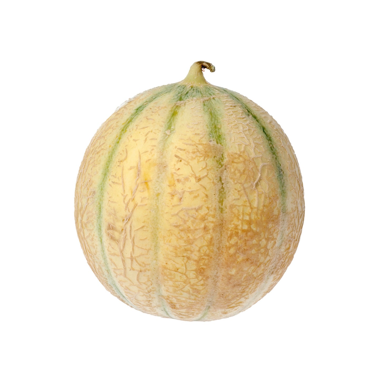 Melon charentais frais entier, fruit juteux