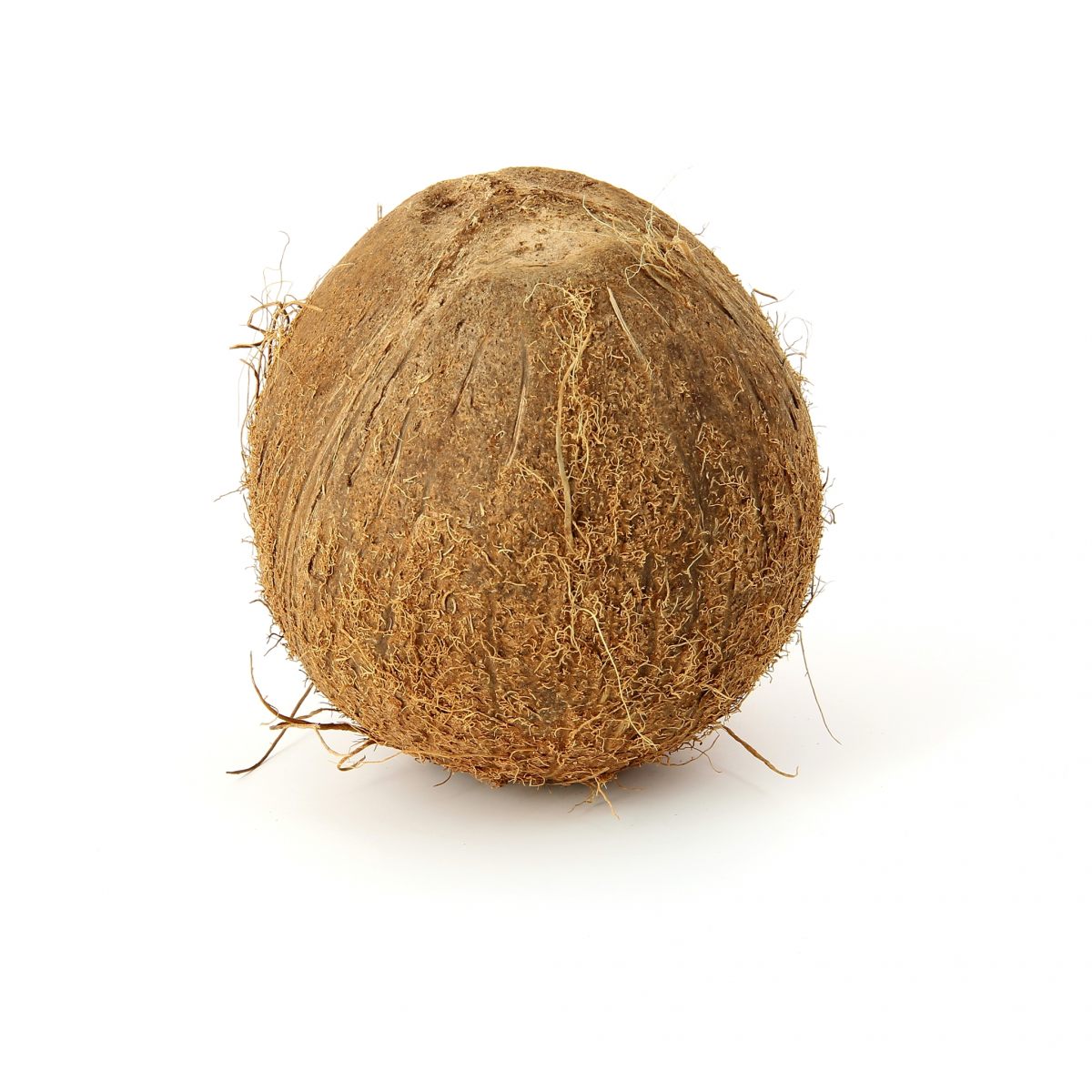 Fruits frais noix de coco entière