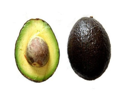 Avocat Hass frais de qualité premium, goût riche et crémeux, idéal pour guacamole, livraison rapide