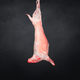 AGNEAU ENTIER (19-20KG) AVS