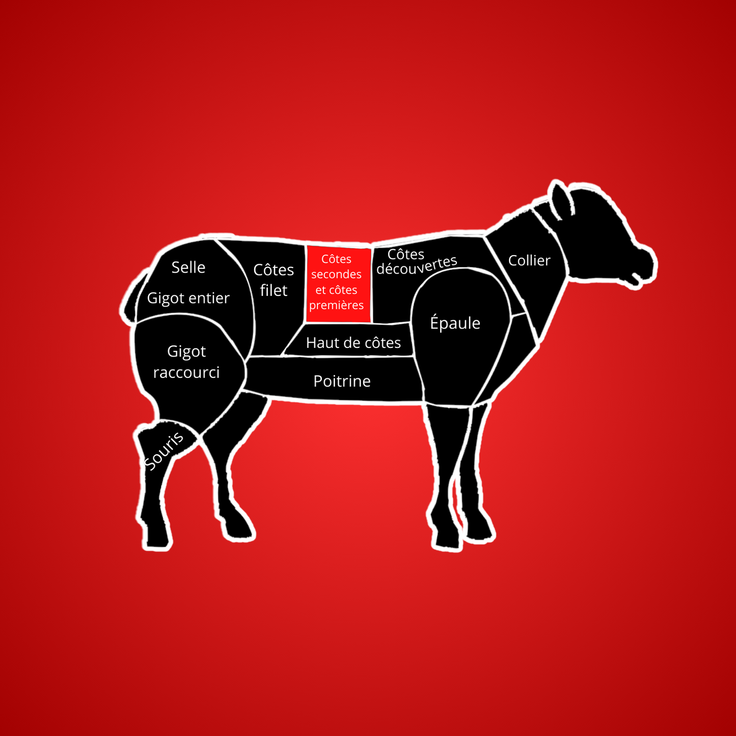 Côtes d'agneau schéma decoupe découpe HALAL AVS fraîches 1kg prêtes pour grillades, livraison rapide chronofresh