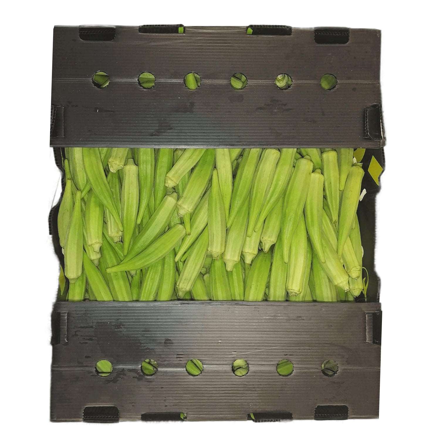 GOMBO OKRA CAGETTE 5KG