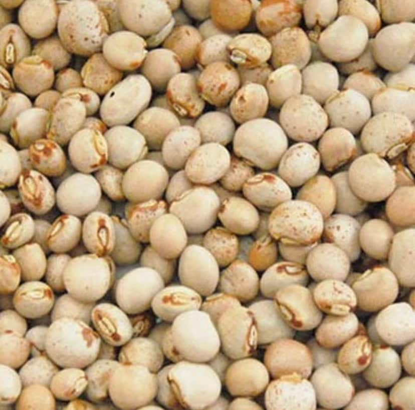 POIS D'ANGOLE SECS 1KG