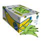 BANANE PLANTAIN VERTE CARTON 22.6KG